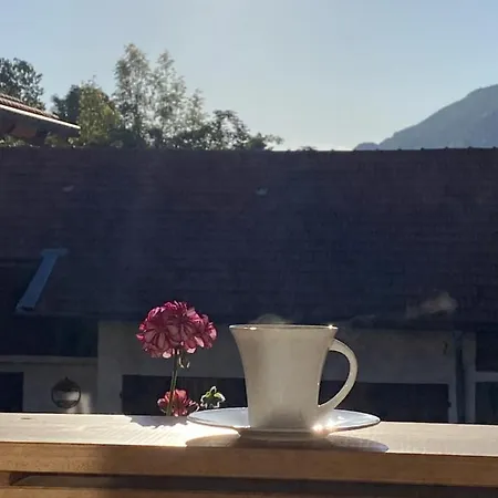 Schreiner-viehhausen Grassau (Bavaria)