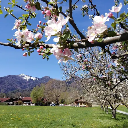 Apartamento Schreiner-viehhausen Grassau (Bavaria)