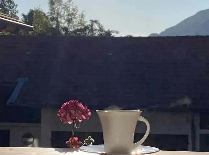 Schreiner-viehhausen Grassau (Bavaria)