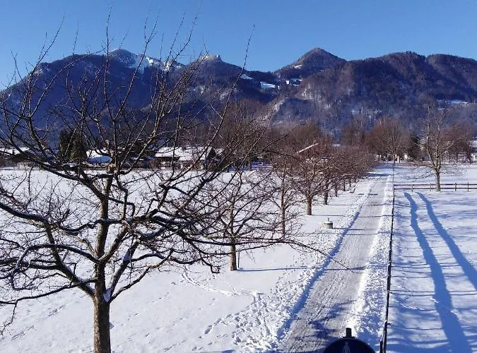 Schreiner-viehhausen